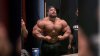 roelly-winklaar.jpg