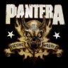 Pantera
