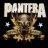 Pantera