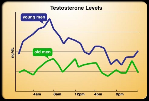 Time-Testosterone.jpg