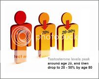 Testosterone.jpg