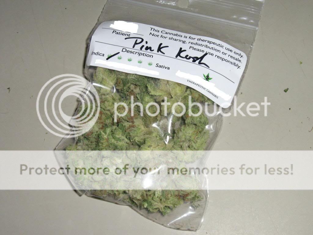 PinkKush1_zps21640ff3.jpg