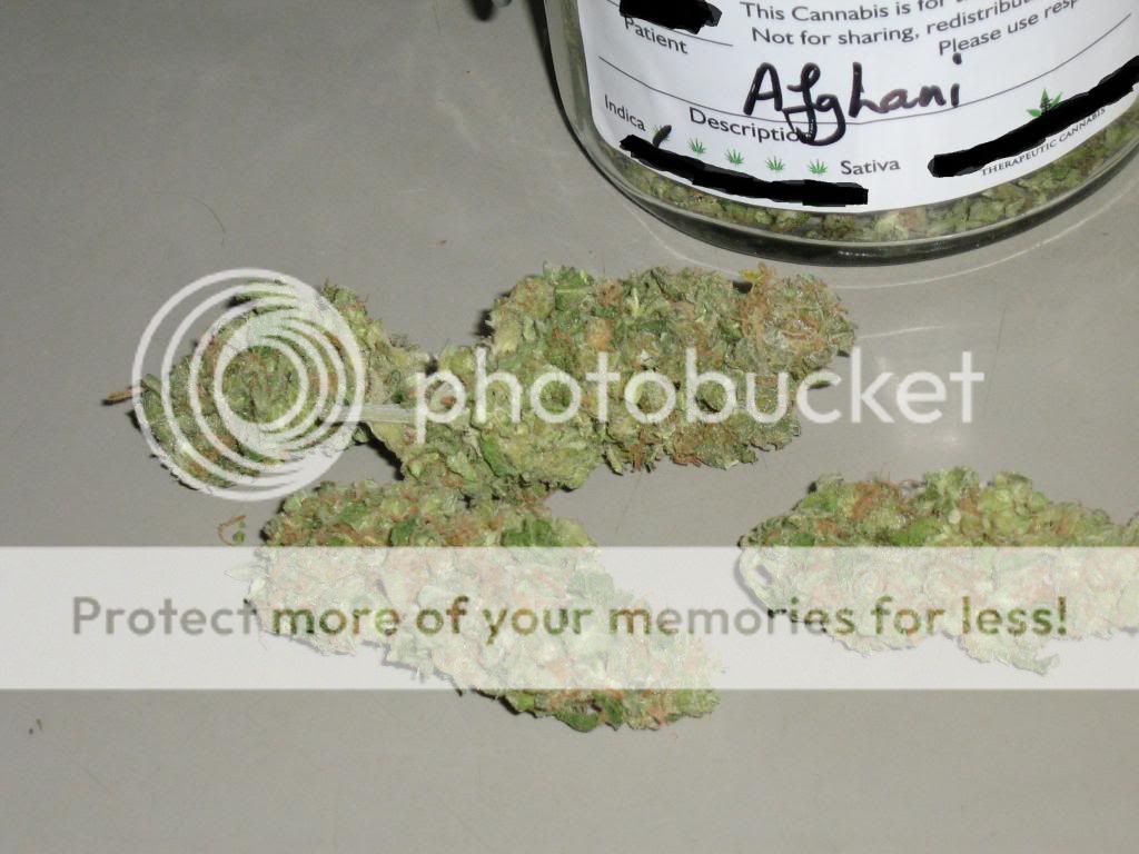 AfghaniIndica2_zpsc807f66c.jpg